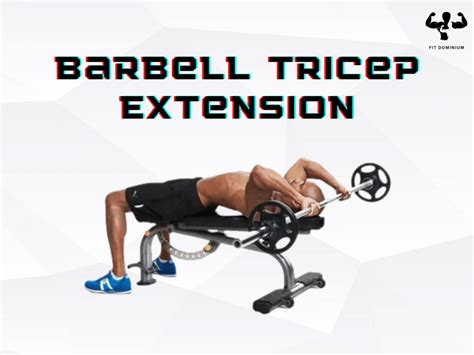 Barbell Tricep Extension How To Benefits Fitdominium