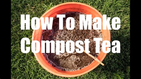 How To Make Compost Tea Quick Easy And Free Youtube