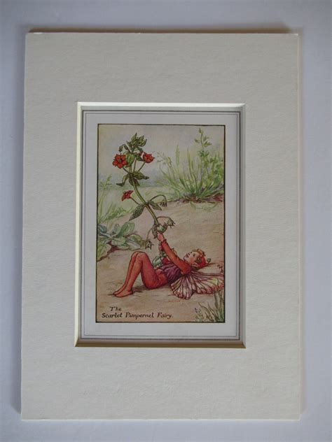 Flower Fairies Fairy The Scarlet Pimpernel Fairy Vintage Print Rare