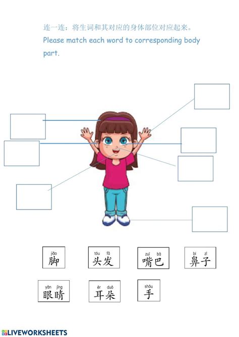 Chinese Body Parts Worksheet Preschool Activity Chinese Lessons