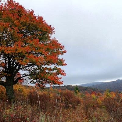 Hike Mount Rogers, Mount Rogers Parking Area