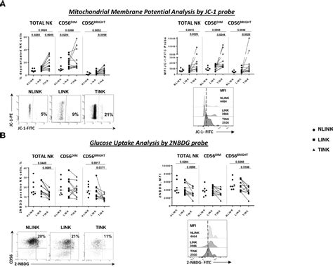 Frontiers Targeting Stress Sensor Kinases In Hepatocellular Carcinoma