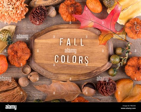 Wood Plaque With Fall Colors Text Surrounded With Colorful Autumn