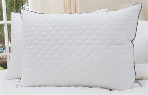 Cozy Classics Down Alternative Quilted Bed Pillow - Walmart.com