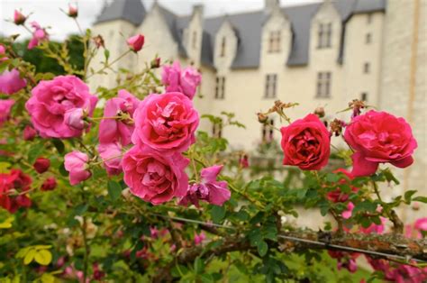 The Gardens Of The Ch Teau Of Le Rivau Loire Valley