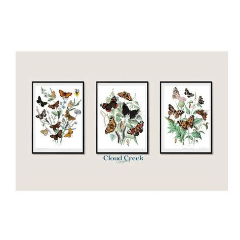 Printable Vintage Wall Art Set Antique Prints Butterflies Etsy In