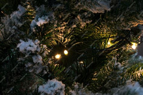 Luces en el árbol de navidad | Foto Premium