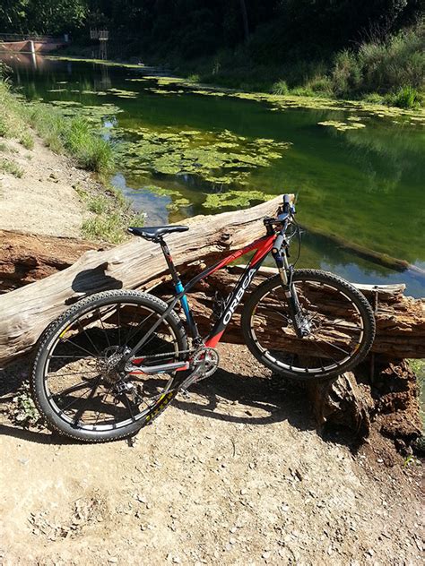 La foto del día en TodoMountainBike Salida al pantano