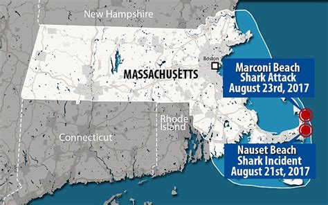 Multiple Great White Shark Sightings In Cape Cod Daily Mail Online