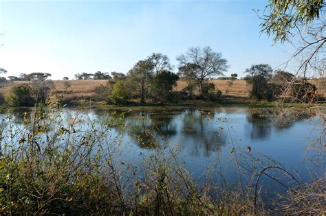 African adventures: 6-8 August 2010 - Antelope Park, Gweru Zimbabwe, Part 1