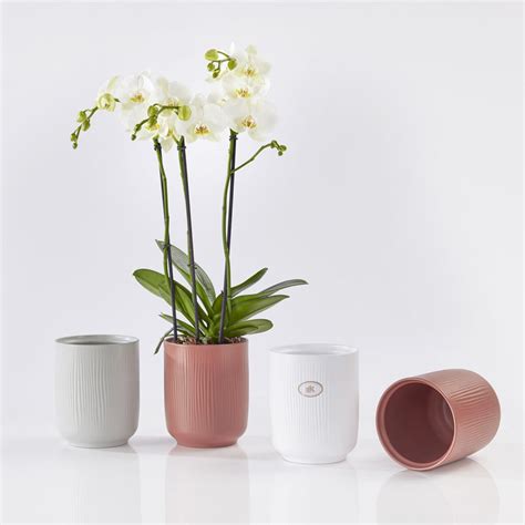 Falun Orchid Vase Soendgen Keramik