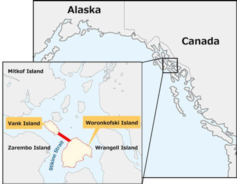 Sumitomo Electric Is Awarded Submarine Cable System For The Southeast