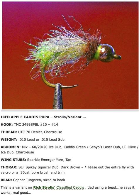 Nymph Fly Patterns Caddis Fly Fishing