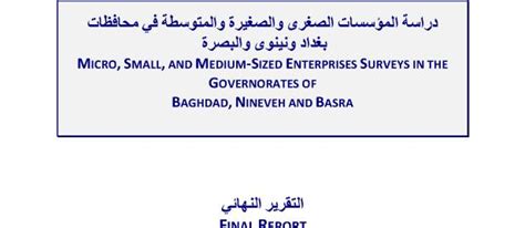 إنجازات أهداف التنمية المستدامة في العراق برنامج الأمم المتحدة الإنمائي