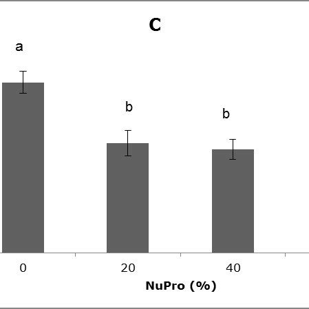 A The Activities Of The Antioxidant Enzymes Catalase Cat B