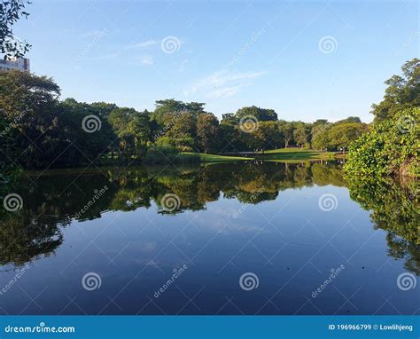 Singapore Botanic Gardens Eco Lake Stock Image Image Of Grass