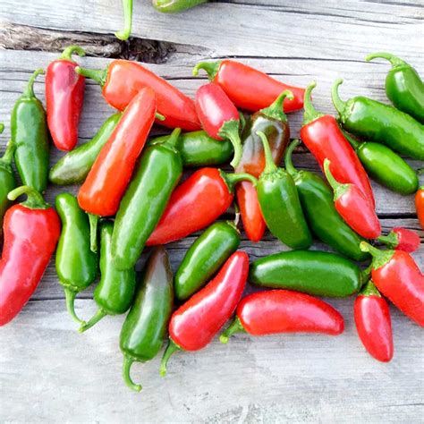 Pepper Chilli 'Jalapeno' - Seeds | Suttons