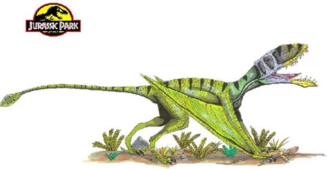 Dimorphodon Pictures & Facts - The Dinosaur Database