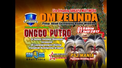 Live Streaming Sanjaya Multimedia Om Zelinda Feat Reog Onggo Putro