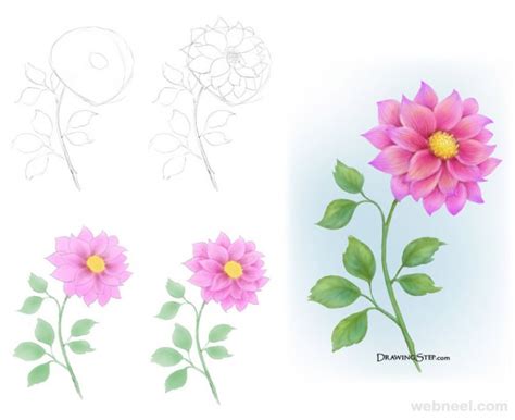 Flower Drawing Step By Step 32