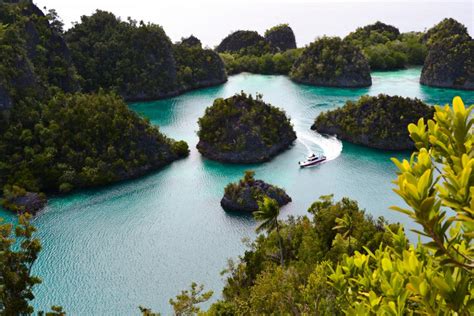 Raja Ampat Liveaboard Explore The Enchantment Of Underwater Indonesia