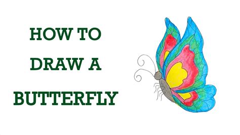 How To Draw A Butterfly How Do You Draw A Butterfly Butterfly To