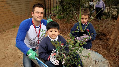 Barrow Load Of Fun At Silverton Primary School Dandenong Star Journal