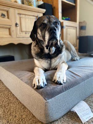 SOUTHERN ROCKIES ANIMAL EMERGENCY + SPECIALTY - Updated September 2025 ...