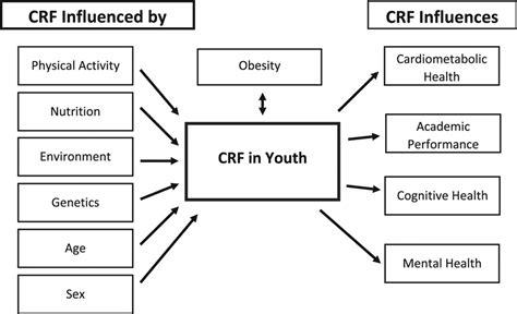 Cardiorespiratory Fitness In Youth An Important Marker Of Health A