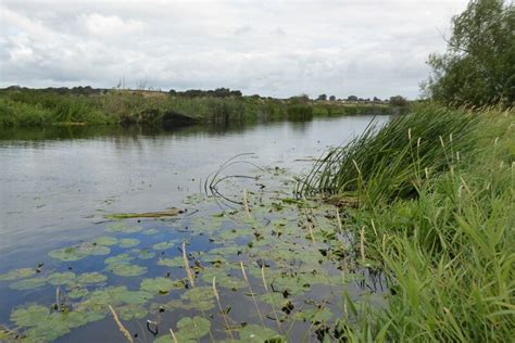 River Avon Near Marlcliff Philip Halling Cc By Sa 2 0 Geograph