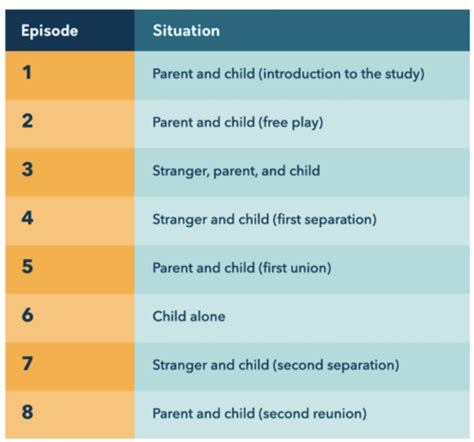 Chapter 4 Development Flashcards Quizlet