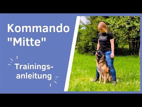 Hunde Trick Hund Kommando Mitte Garage Beibringen Hund Sitzt