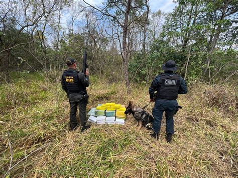 Mais De Quilos De Drogas S O Apreendidos Pelo Dof Em Brasil Ndia