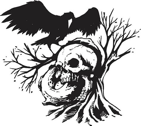 Dead Crow Illustrations, Royalty-Free Vector Graphics & Clip Art - iStock