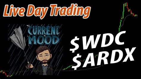 Day Trading Live Stocks Wdc Ardx Youtube