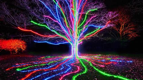 After-Dark Light Festival Lightscape Will Brighten Up the Brisbane City Botanic Gardens This ...