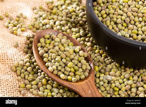 Vigna Radiata Raw Organic Green Mung Beans Stock Photo Alamy