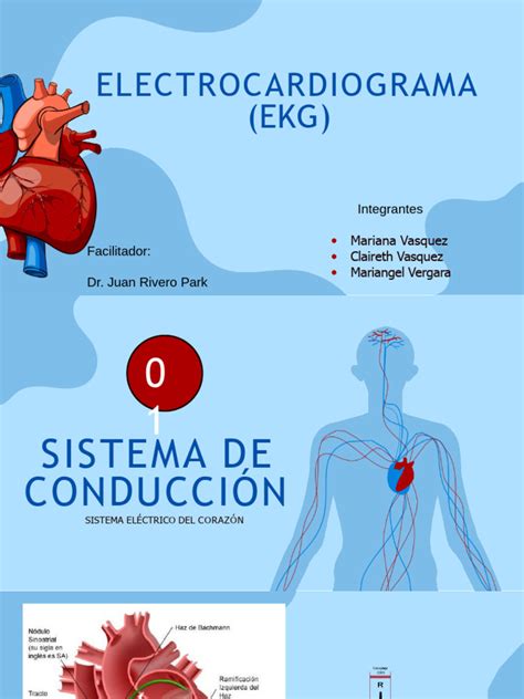 Electrocardiograma Pdf Electrocardiografia Electrofisiología Cardíaca