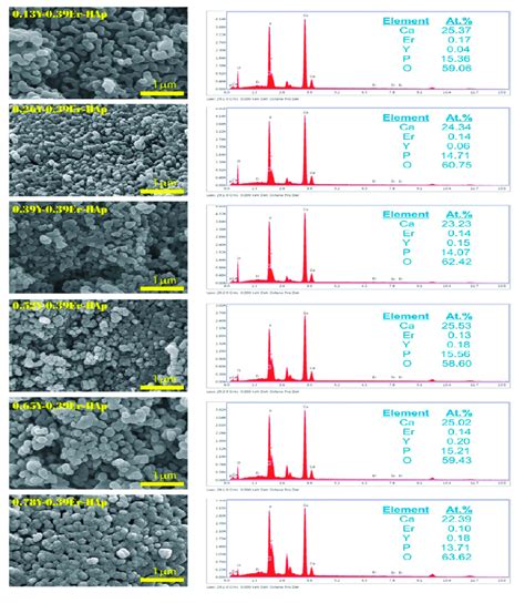 Sem Images And Edx Analysis Download Scientific Diagram