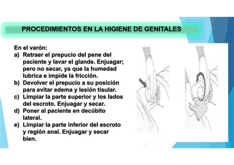 S Higiene De Genitales Externos Pdf