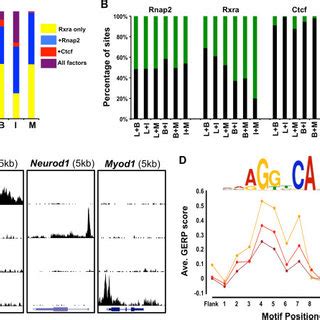 Correlation Matrix Between ChIP Seq Experiments Heat Map Displaying