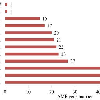 The Number Of Amr Genes Found In M Catarrhalis The X Axis Indicates