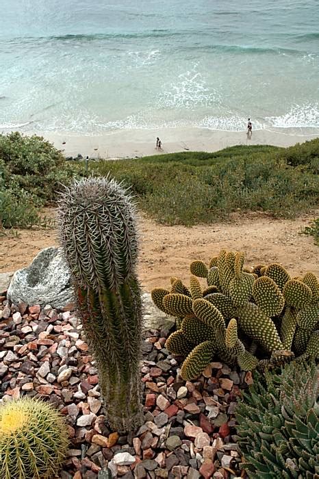 Classic California Beach Without Attitude