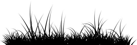 Grass Vector Silhouette