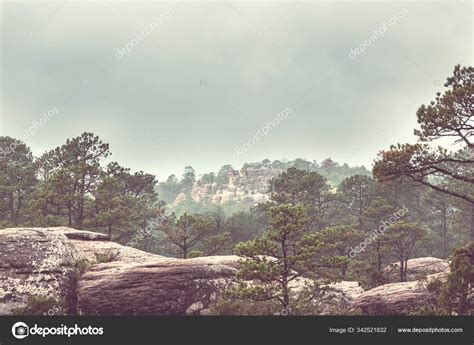 Jungle Mountains Rainy Season Mexico Stock Photo By ©kamchatka 342521832