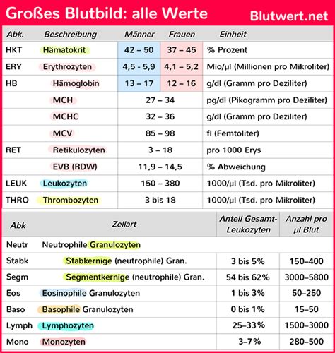 Großes Blutbild Optimale Werte Und Einfache Erklärungen