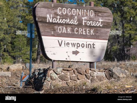 Cononino National Forest Hi Res Stock Photography And Images Alamy