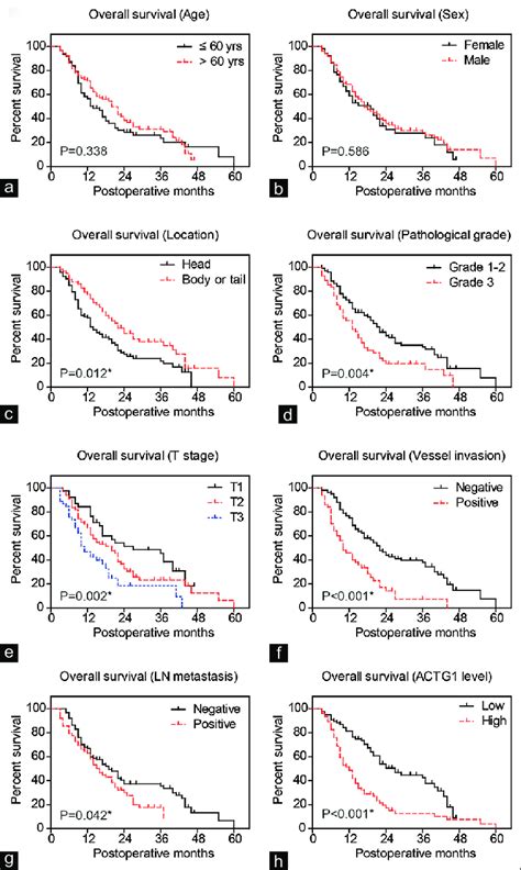 Overall Survival Curves Of Pdac Patients By Kaplan Meier Method The