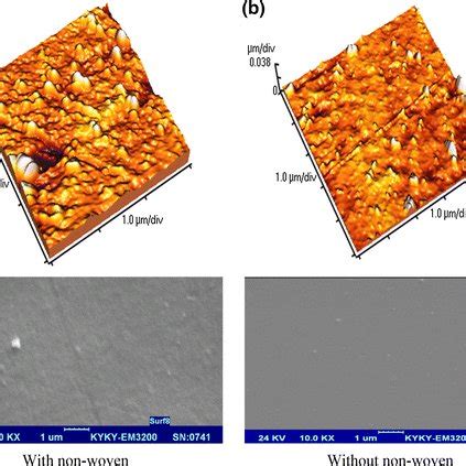 Sem Images Of The Membrane Surfaces Of A Pdms B Pdms Zeolite A