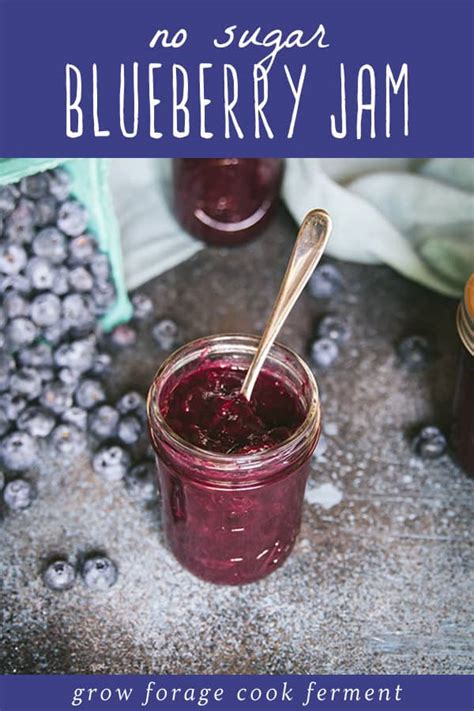 Can Blueberry Recipes Ginosharland